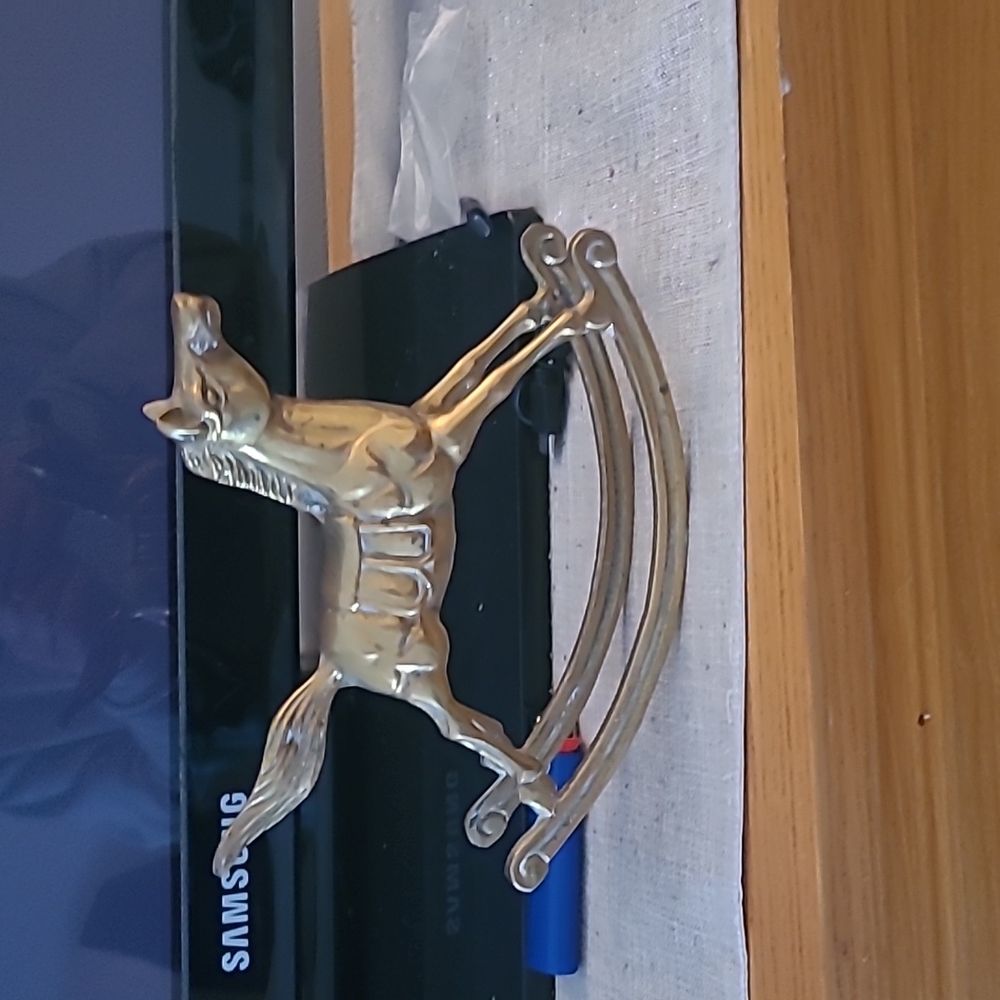 Bronze horse 🐎